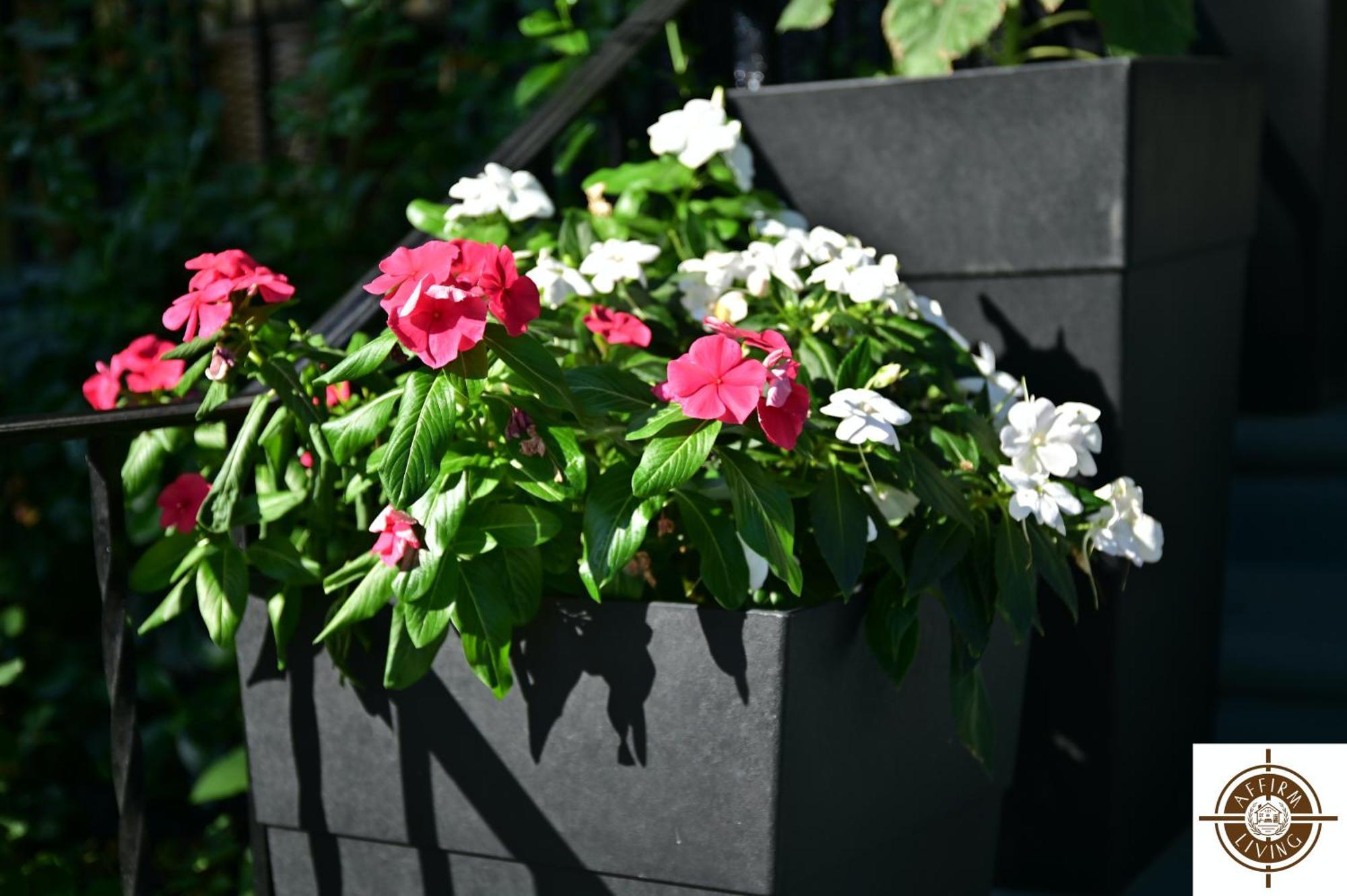 Historic Garden Oasis In Philly *